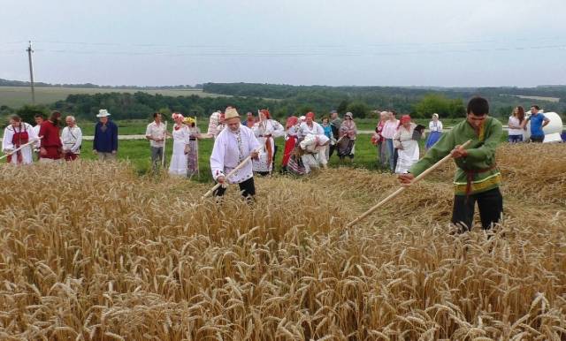 Фестиваль «Дни жатвы» на хуторе Песочное под Курском - Национальное событие 2018 года